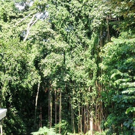 Latugu Homestay Ubud Екстериор снимка
