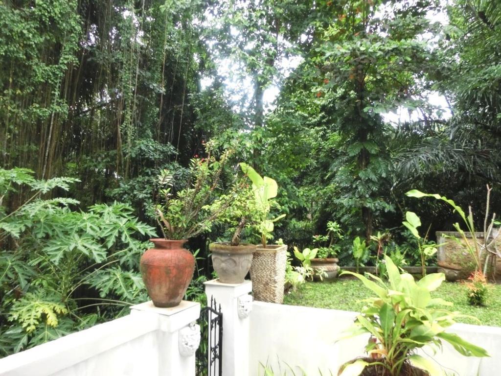 Latugu Homestay Ubud Стая снимка