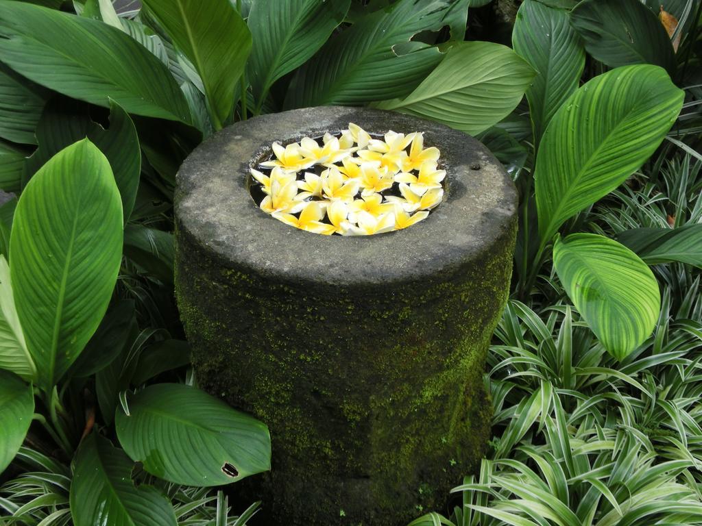 Latugu Homestay Ubud Екстериор снимка
